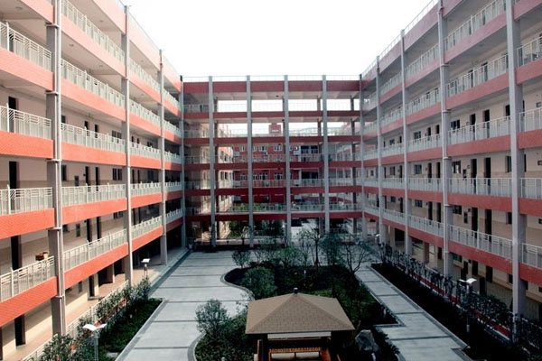 1591345694423353.jpg 2.jpg