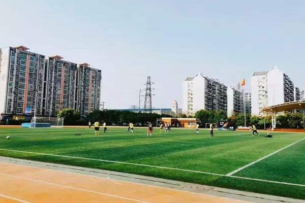 1591346292419226.jpg 1.jpg