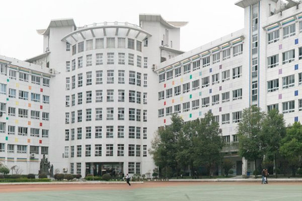 1591346298870326.jpg 2.jpg