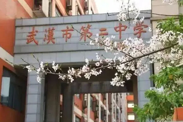 1591597350683840.jpg 1.jpg