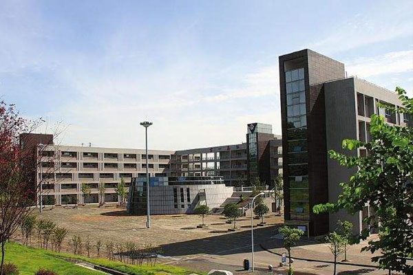 1591780975481881.jpg 3.jpg