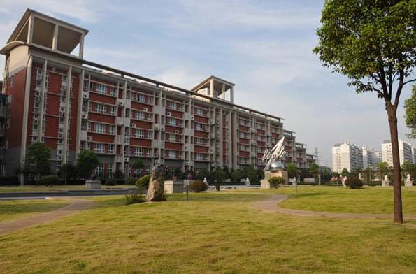 1592389264956417.jpg 3.jpg