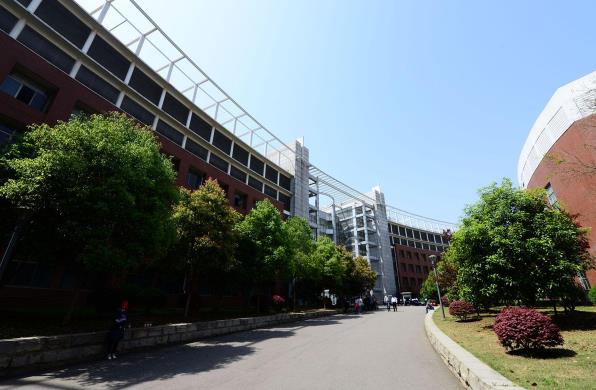 1592460371919249.jpg 1.jpg