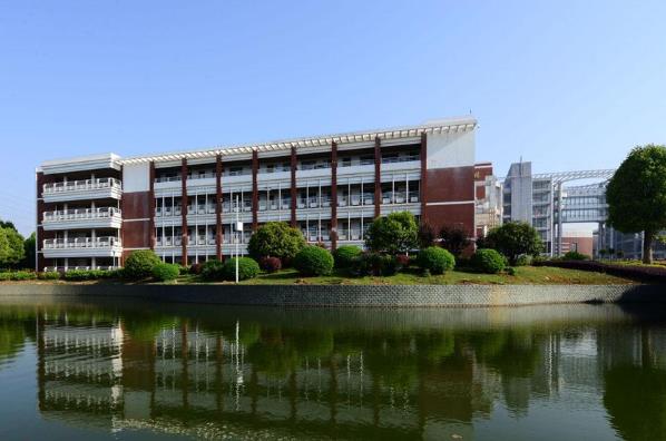 1592460382656459.jpg 3.jpg