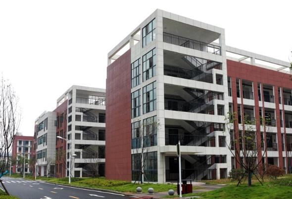 1592461636277960.jpg 1.jpg