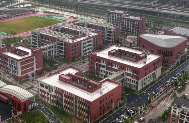 1592461642781802.jpg 2.jpg