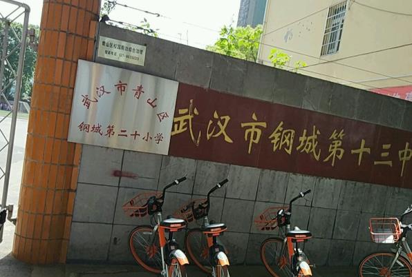 1592463954161420.jpg 2.jpg