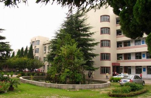 1592463983978325.jpg 3.jpg