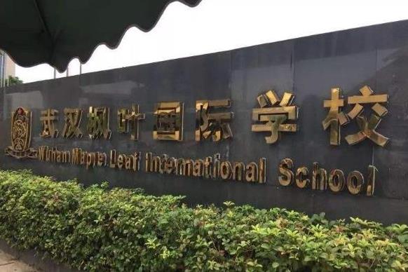 1593310406426299.jpg 1.jpg