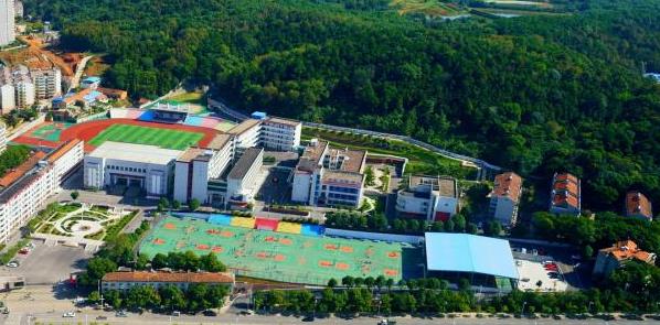 1593748628161921.jpg 2.jpg