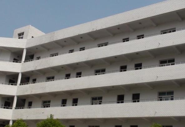 1593748659350933.jpg 5.jpg