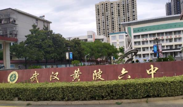 1593757875770485.jpg 4.jpg