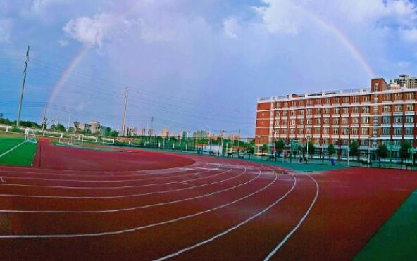 1593757887623506.jpg 6.jpg