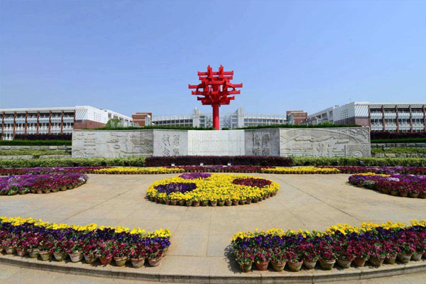 1611132754825831.jpg 1611055832905421.jpg