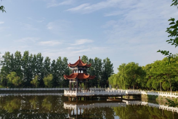 1612752230329074.png image.png