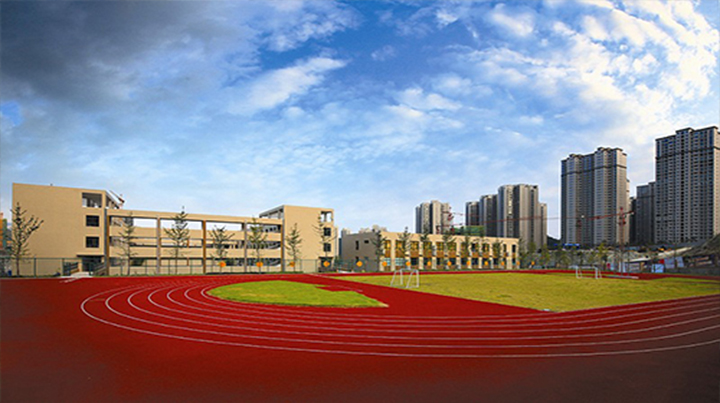 1557124586987695.jpg 3.jpg