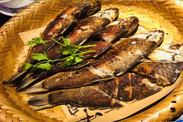 甲魚(yú)604.jpg