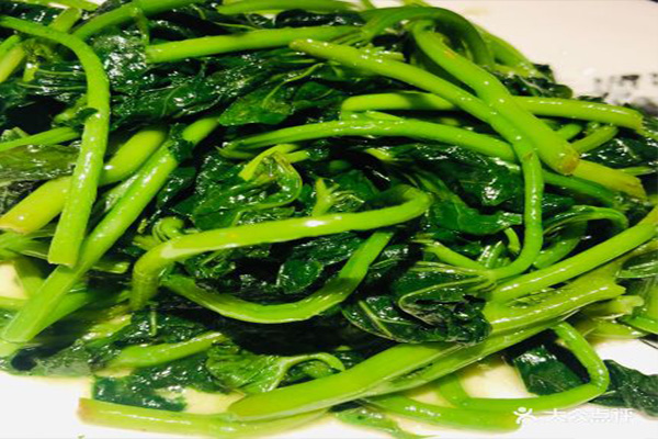甲魚(yú)603.jpg