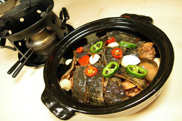 甲魚1.jpg