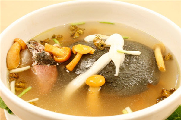 甲魚2.jpg