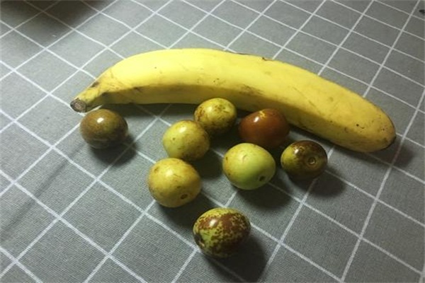 u=1024403270,1373908606&fm=26&gp=0.jpg
