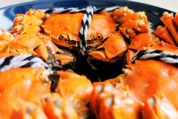 src=http%3A%2F%2Fphoto.tuchong.com%2F15616872%2Ff%2F1205739591.jpg&refer=http%3A%2F%2Fphoto.tuchong.jpg
