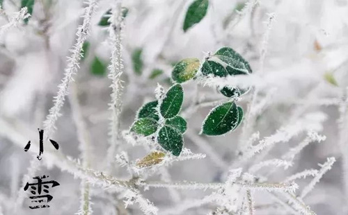 雪1.jpg