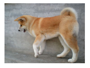微信截圖_20200514180547.png