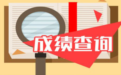 稅務(wù)師考試成績(jī)查詢2020 成績(jī)查詢?nèi)掌?>
	</a>
	<div   id=