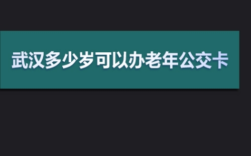 武漢老年證免費(fèi)乘車(chē)次數(shù)一覽