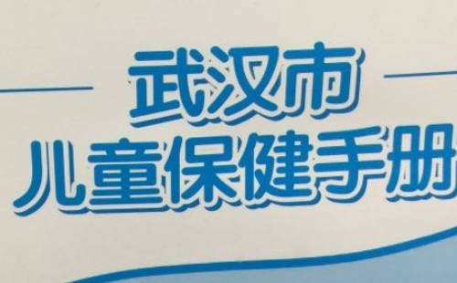 漢陽(yáng)區(qū)兒童保健手冊(cè)補(bǔ)辦怎么辦理