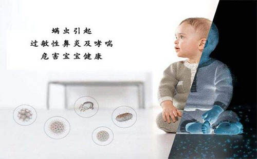 去掉螨蟲小妙招