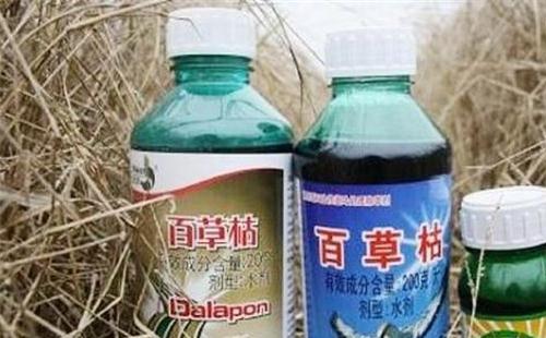 百草枯有多可怕 百草枯不得在境內(nèi)銷售