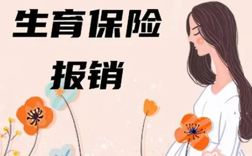 武漢生育保險(xiǎn)報(bào)銷范圍和標(biāo)準(zhǔn)2022