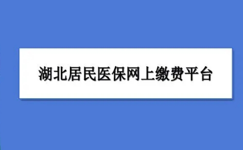 湖北醫(yī)保怎么網(wǎng)上繳費(fèi)_湖北居民醫(yī)保繳費(fèi)平臺