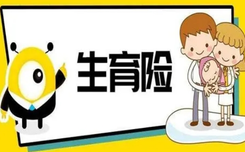 武漢生育險登記如何網(wǎng)上辦理2022