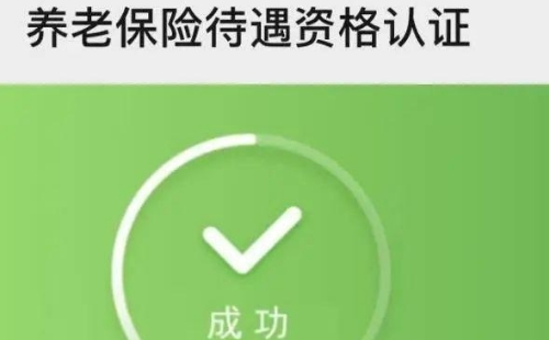 武漢養(yǎng)老金認證失敗怎么辦