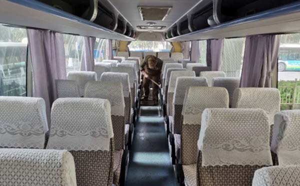 陽(yáng)邏到武漢火車(chē)站的定制公交車(chē)時(shí)間段2020