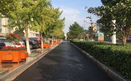 8月29日起，蔡甸調整公交266、269路運營走向