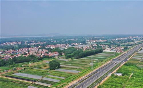 武漢新洲陽大公路通車7月20日消息
