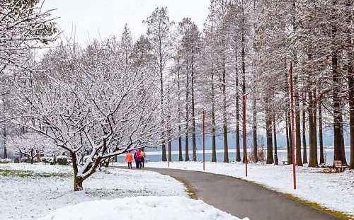 武漢今年冬天冷嗎 什么時(shí)候下雪(初雪時(shí)間)