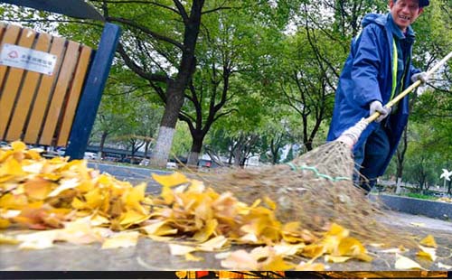 武漢本周下降4℃微風(fēng)有小雨落葉一地