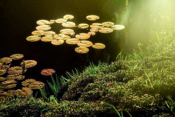 立春后我國氣溫回升 武漢近三天天氣預(yù)報