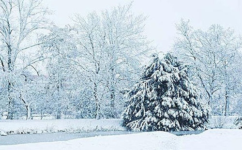 湖北哪些地方下雪了（天氣預(yù)報）