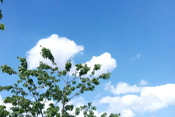 武漢未來三天天氣 氣溫上升 如何預(yù)防口罩臉