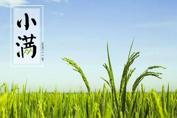 武漢小滿迎來陣雨 未來天氣預(yù)報