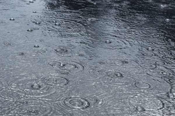 武漢未來天氣預(yù)報 周一降雨后升溫