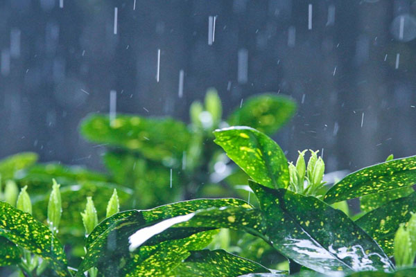 武漢未來天氣預(yù)報 氣溫浮動有陣雨