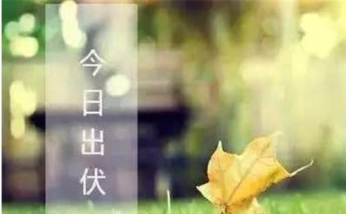 2020三伏天從什么時(shí)候開(kāi)始 2020年三伏天時(shí)間表