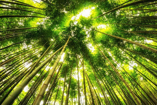 8月7日武漢高溫預(yù)警 防暑降溫注意事項(xiàng)